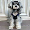 Gucci L* Pets Clothing