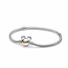 Pandora Bracelet