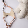 Burberry Pet Chest and Back Harness Leash Set