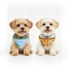 Tagi Dog Scarf