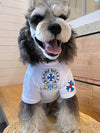 Chrome Hearts Puppy and Owner Clothing