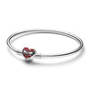 Pandora Bracelet