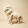 Dinosaur Skeleton Pet Clothing