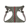 Gucci Pet Chest and Back Harness Leash Set