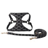 Goyard Pet Chest and Back Harness Leash Set