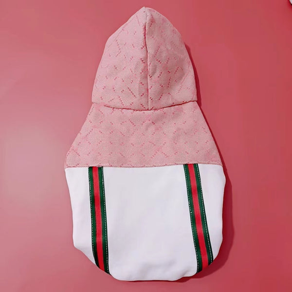 Gucci Teddy Puppy Clothes
