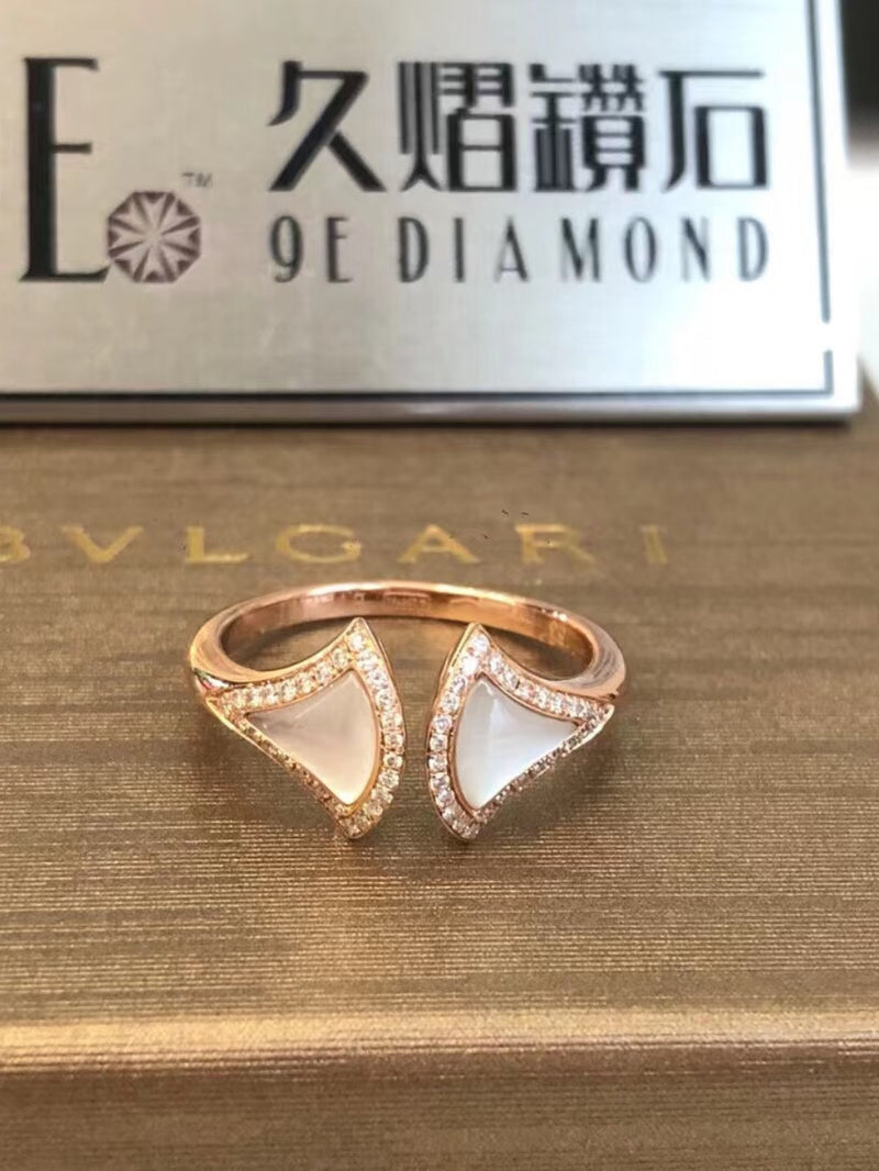 BVLG Fan Ring