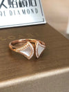 BVLG Fan Ring